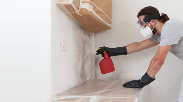 Professional Crawl Space Mold Remediation technician working in Springfield, MN