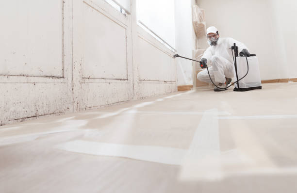 24/7 Emergency Crawl Space Mold Remediation experts in Springfield, MN